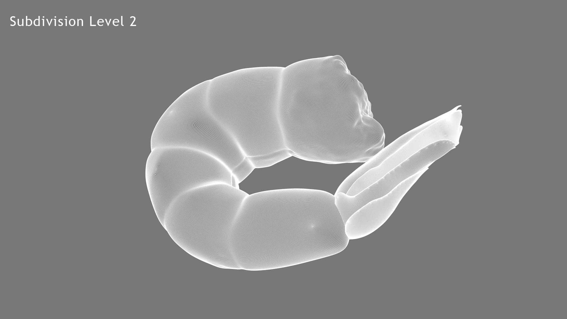 shrimp prawn crustacean 3D model https://p.turbosquid.com/ts-thumb/qv/yBwjwW/U79ElqFP/wf7/jpg/1592130379/1920x1080/fit_q87/25fac9043a88275e083799f3f11c5412fd5f28e4/wf7.jpg