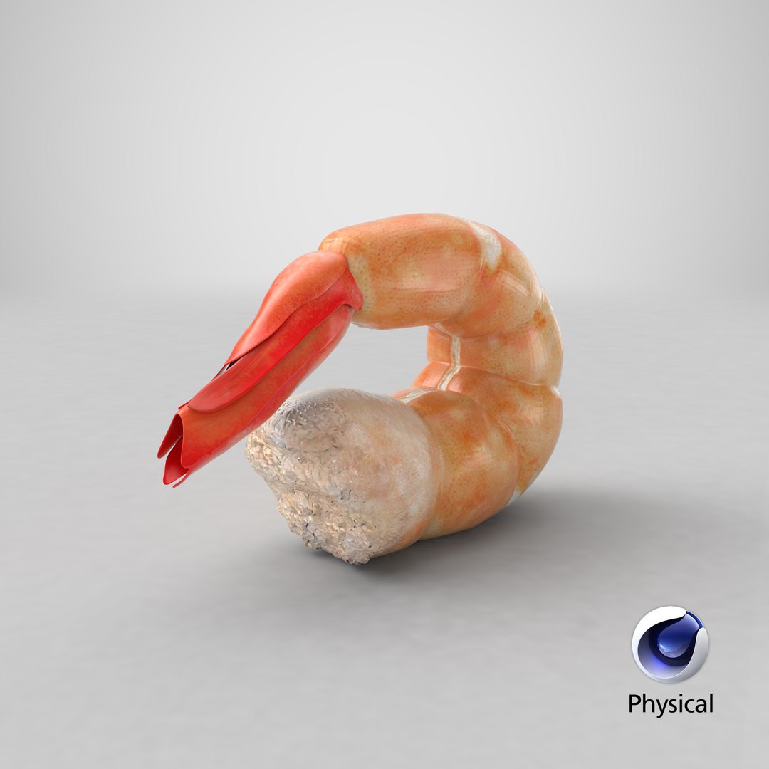 shrimp prawn crustacean 3D model https://p.turbosquid.com/ts-thumb/qv/yBwjwW/VRlVswMF/stemcell_cinema_4d_physical_render/png/1592419816/1920x1080/fit_q87/5b8601bc254524c5e17471a23ded2760ac32bd23/stemcell_cinema_4d_physical_render.jpg