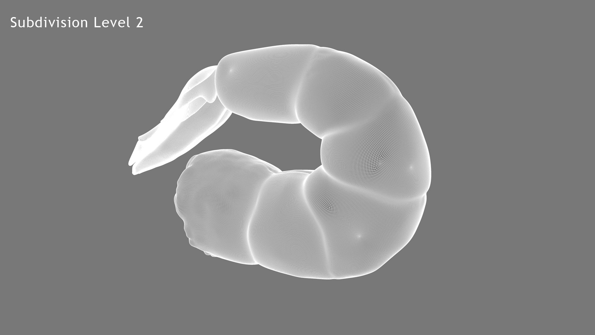 shrimp prawn crustacean 3D model https://p.turbosquid.com/ts-thumb/qv/yBwjwW/b9kZ9xw8/wf6/jpg/1592130379/1920x1080/fit_q87/19bd3bdb7d9ab914d3454d6fb454842be1e8d419/wf6.jpg