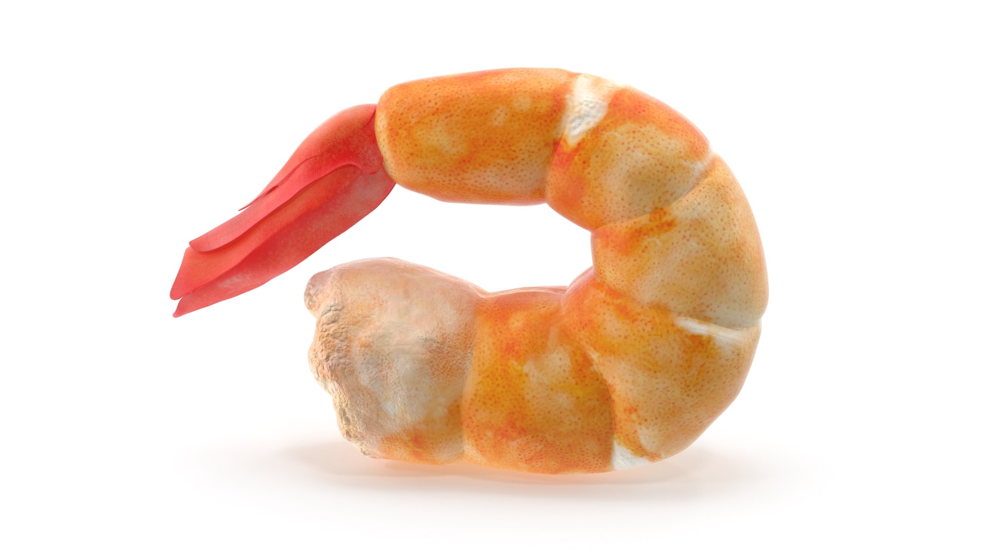 shrimp prawn crustacean 3D model https://p.turbosquid.com/ts-thumb/qv/yBwjwW/nS8fJ0vq/2/jpg/1592130379/1920x1080/fit_q87/0bbad9dad8fc6728feca8078601438c6fe8f0d75/2.jpg