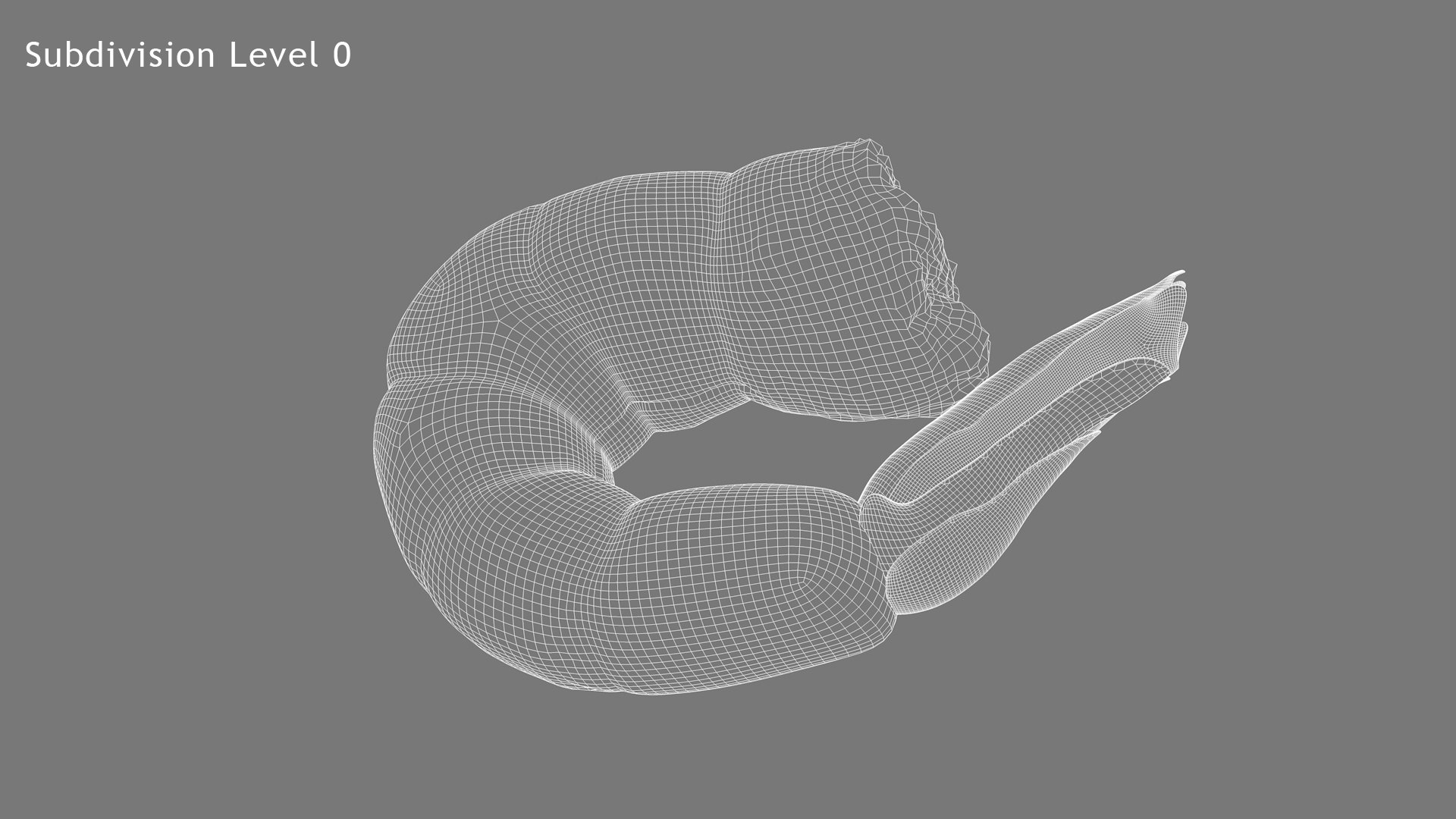 shrimp prawn crustacean 3D model https://p.turbosquid.com/ts-thumb/qv/yBwjwW/twMwXw72/wf3/jpg/1592130379/1920x1080/fit_q87/d433337b4a9041b3ee50876b2df9661b78f446cb/wf3.jpg