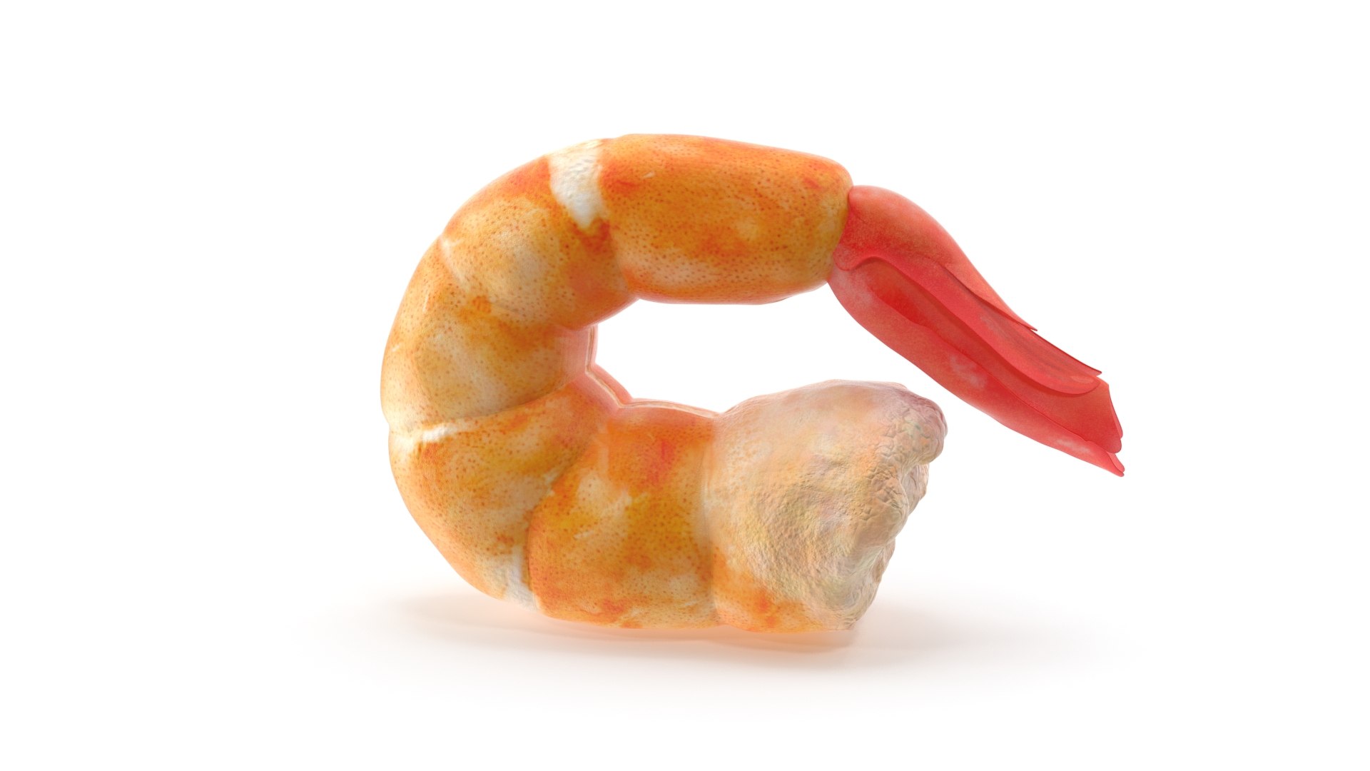 shrimp prawn crustacean 3D model https://p.turbosquid.com/ts-thumb/qv/yBwjwW/ufkm2yON/4/jpg/1592130379/1920x1080/fit_q87/4cca5164012b1d59c18e142e966b75cd94bea0fa/4.jpg