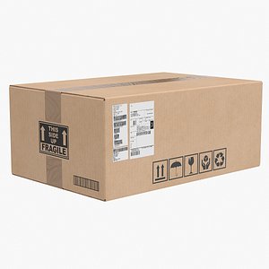 Cardboard Box 2 Closed