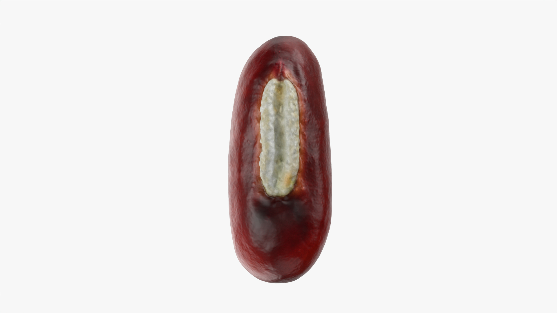 3D Adzuki Bean https://p.turbosquid.com/ts-thumb/qw/6tmQfD/A5/adzukibean/png/1764015492/1920x1080/turn_fit_q99/b1430cf3920f3cc71c67defd69e424fed0984e51/adzukibean-1.jpg