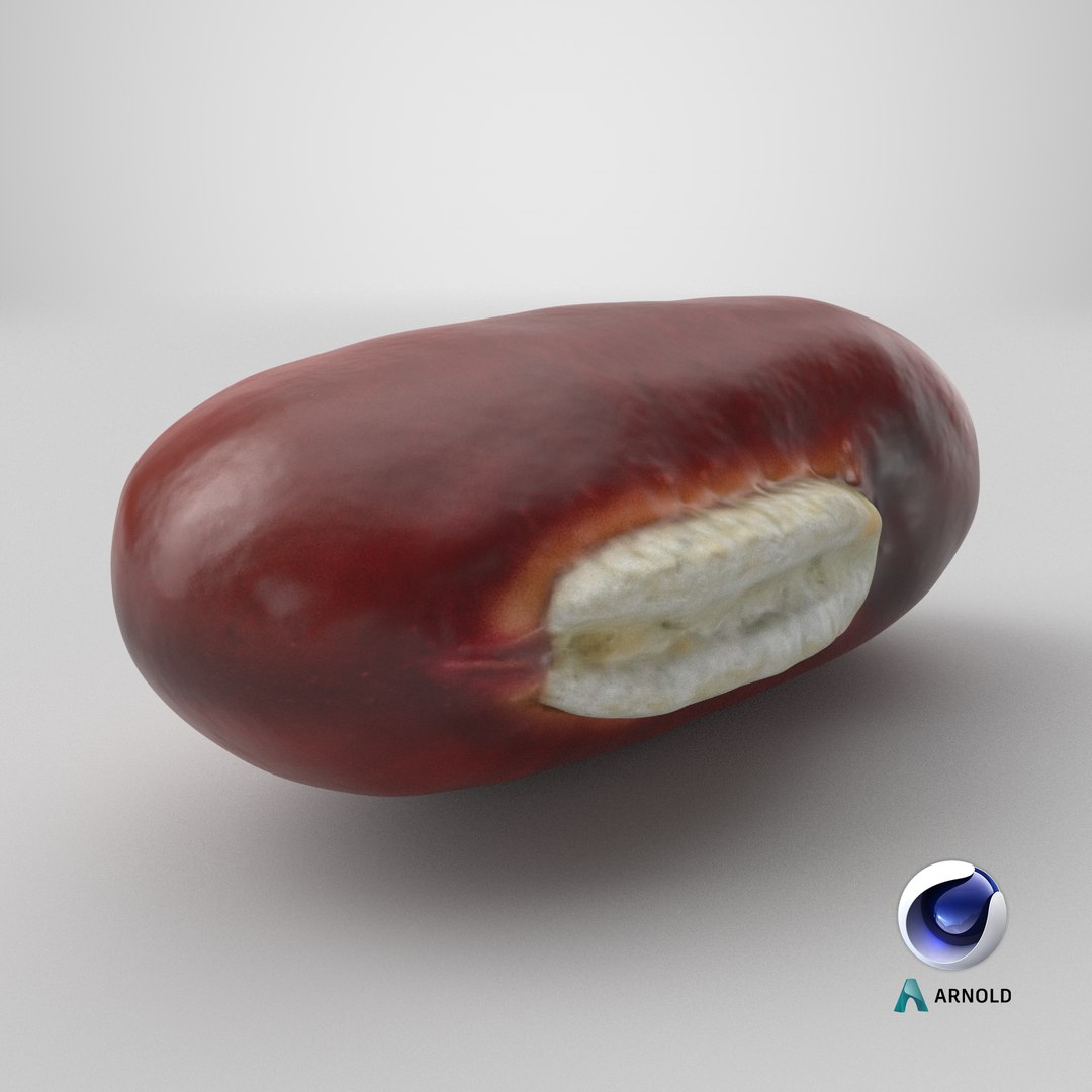 3D Adzuki Bean https://p.turbosquid.com/ts-thumb/qw/6tmQfD/FF/stemcell_cinema_4d_arnold_render/png/1764655260/1920x1080/fit_q87/8f5557520d26662213aa9aea1ec3e8fc004b6d96/stemcell_cinema_4d_arnold_render.jpg