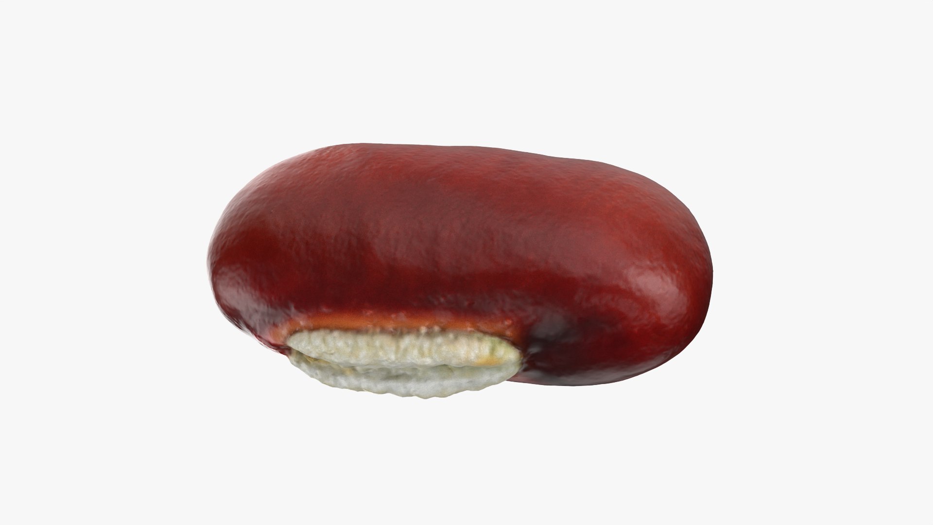 3D Adzuki Bean https://p.turbosquid.com/ts-thumb/qw/6tmQfD/No/adzukibean_0003/png/1764015472/1920x1080/fit_q87/4bdf0bcb1c39d74cf6db9820fca9ce826e555c8c/adzukibean_0003.jpg