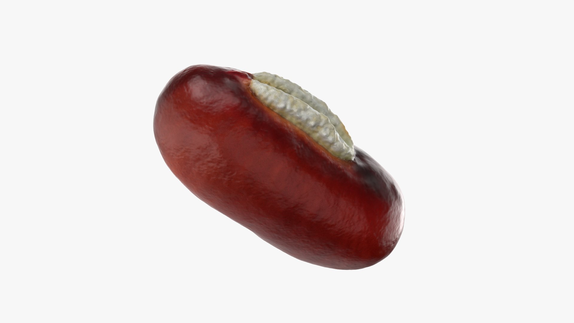 3D Adzuki Bean https://p.turbosquid.com/ts-thumb/qw/6tmQfD/Vx/adzukibean_0012/png/1764015485/1920x1080/fit_q87/751dfeea98601116559465570e4f185d07a975ce/adzukibean_0012.jpg