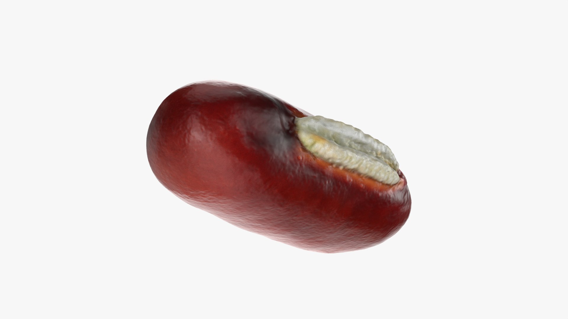 3D Adzuki Bean https://p.turbosquid.com/ts-thumb/qw/6tmQfD/Z8/adzukibean_0009/png/1764015480/1920x1080/fit_q87/9bc1ad60926cf1719de5351b8e509ddb40f91fdb/adzukibean_0009.jpg