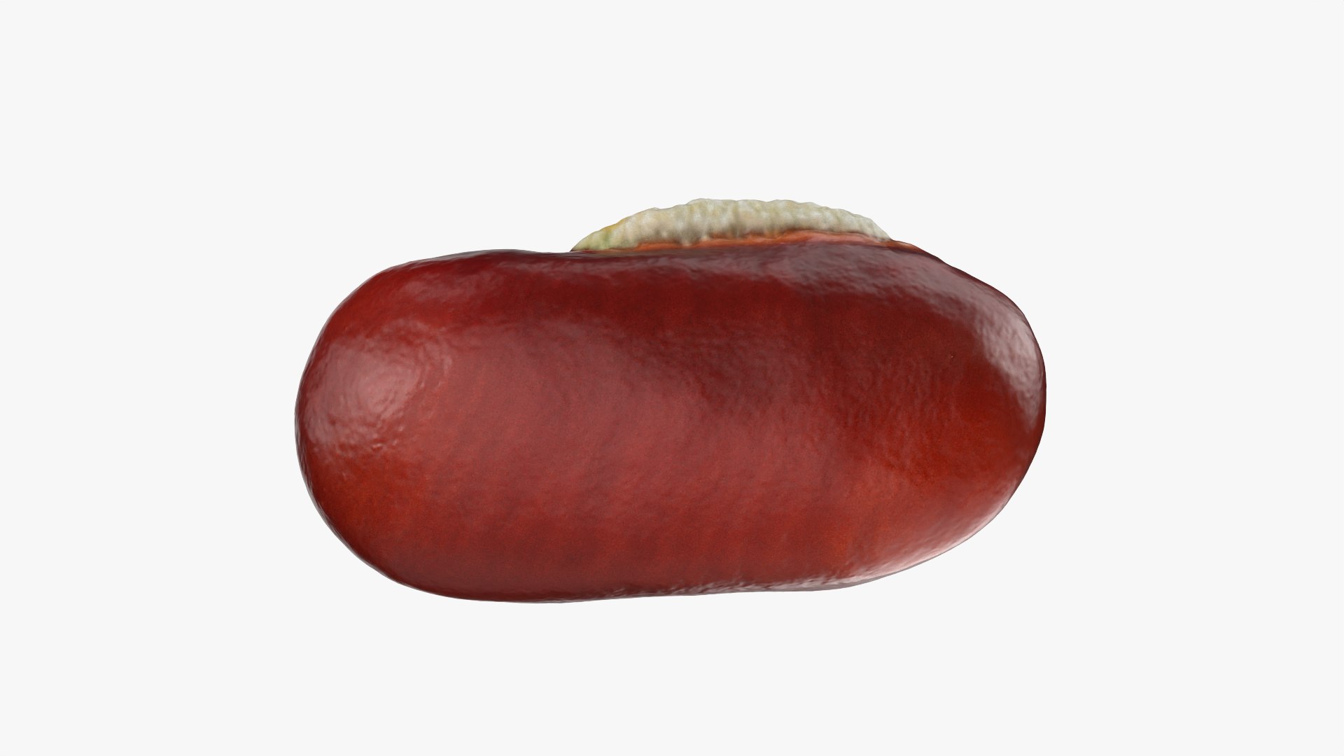 3D Adzuki Bean https://p.turbosquid.com/ts-thumb/qw/6tmQfD/ZP/adzukibean_0008/png/1764015480/1920x1080/fit_q87/9a089e4acedbdd25ff9685989035c46888f23f0f/adzukibean_0008.jpg