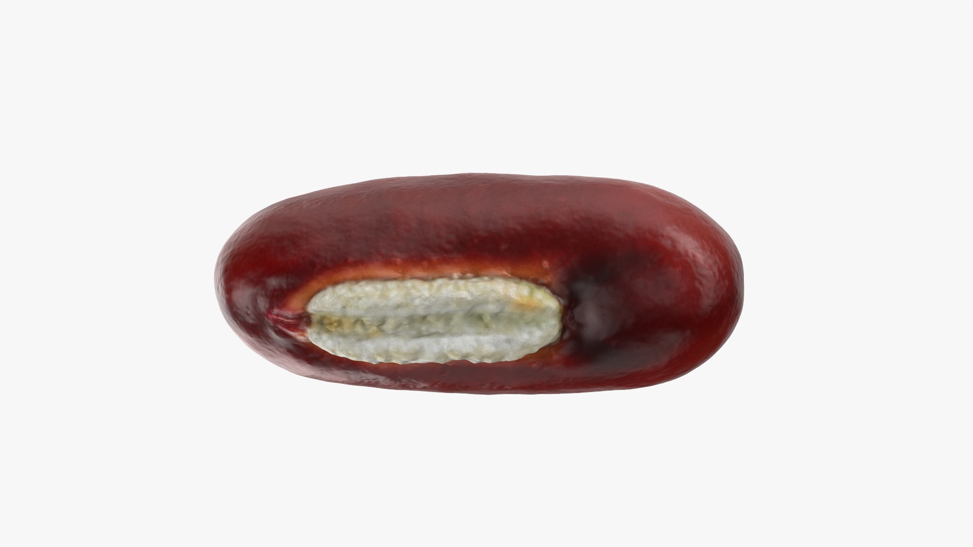 3D Adzuki Bean https://p.turbosquid.com/ts-thumb/qw/6tmQfD/fa/adzukibean_0005/png/1764015476/1920x1080/fit_q87/179019ba926ac92f2d5a9a86ab566aa6ec795f81/adzukibean_0005.jpg