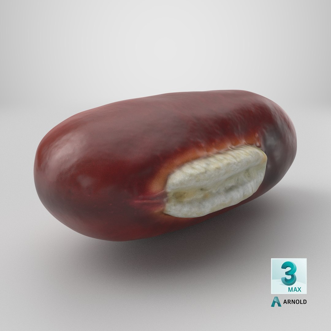 3D Adzuki Bean https://p.turbosquid.com/ts-thumb/qw/6tmQfD/hq/stemcell_max_arnold_render/png/1764655265/1920x1080/fit_q87/6ba5d85fa0b51d1f2f75c21ef2f1aab29dfd0236/stemcell_max_arnold_render.jpg