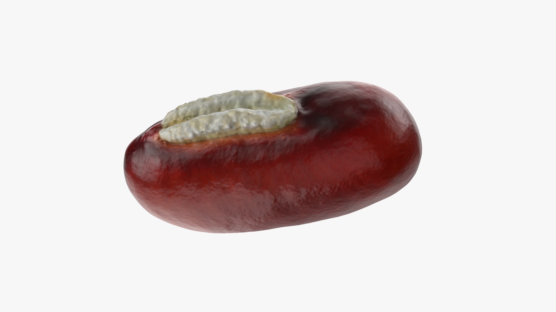 3D Adzuki Bean https://p.turbosquid.com/ts-thumb/qw/6tmQfD/pn/adzukibean_0010/png/1764015482/1920x1080/fit_q87/c0393ad285a5e9685bf1931e92bbf8049dfe8a15/adzukibean_0010.jpg