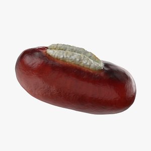 Adzuki Bean