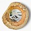 Baga Old Wood Bowl Mirror