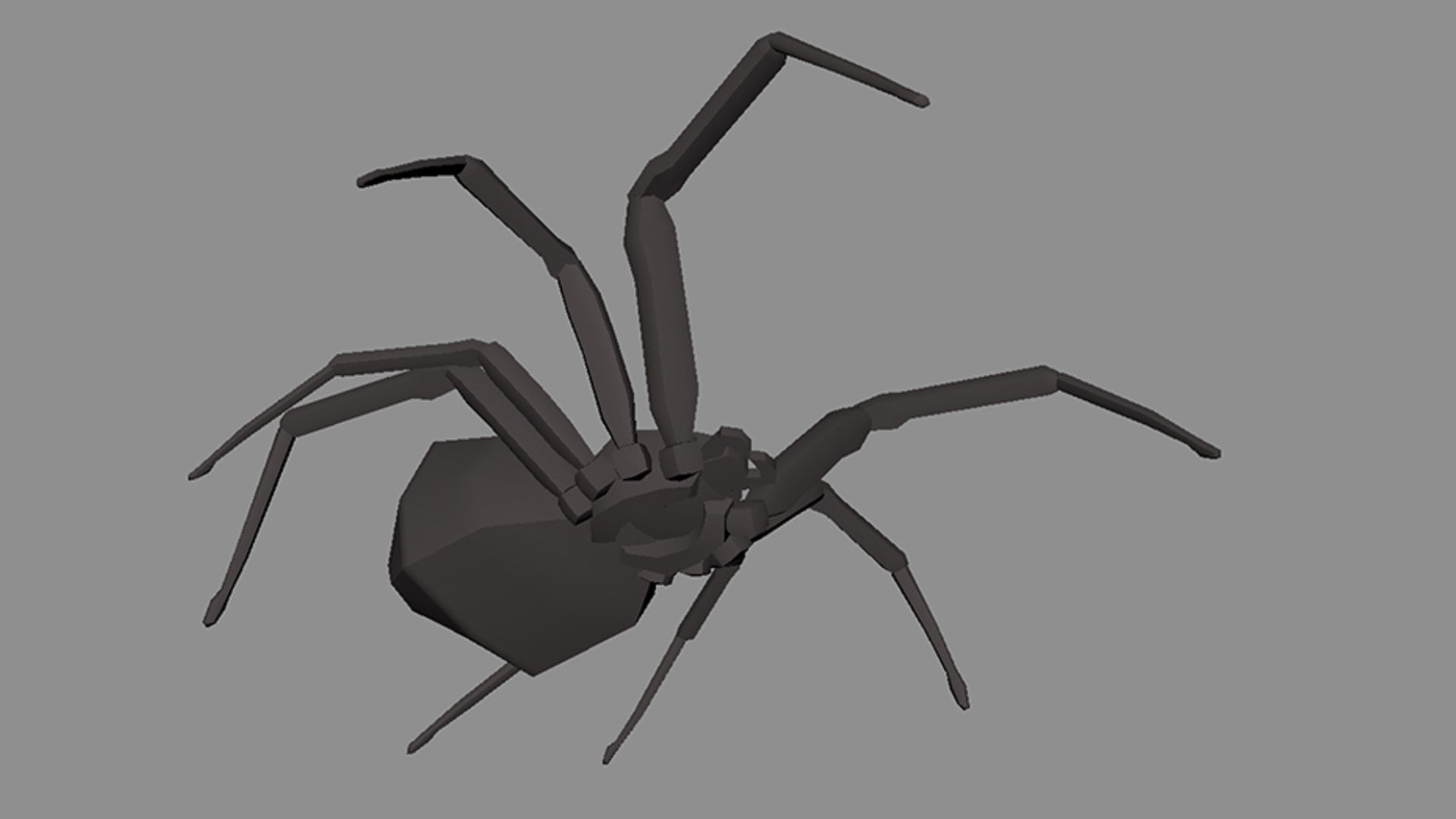 Spider rigged redback model - TurboSquid 1700009