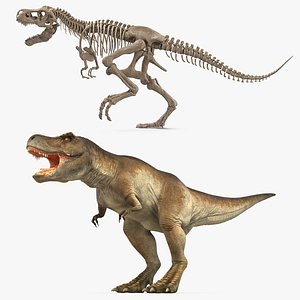 3D tyrannosaurus rex skeleton fossil