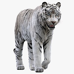 white tiger rigged fur 3D model