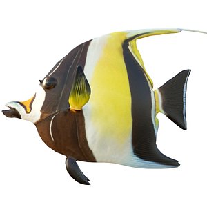 3D Moorish Idol fish