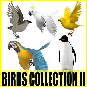Birds Collection II (5 Animated Models)
