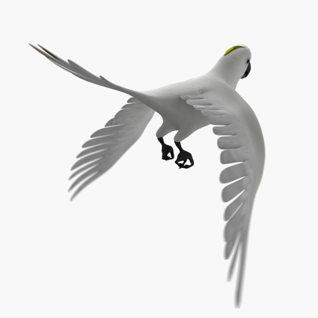 3d model 5 animation https://p.turbosquid.com/ts-thumb/qw/lWORBE/AXlUBVha/cockacmlth07.jpg92aa0a3983df44b3882c6432fbf23310large/jpg/1407095021/1920x1080/fit_q87/5967dcfd9671ea5763b1bc0df82ef2031021d1d7/cockacmlth07.jpg92aa0a3983df44b3882c6432fbf23310large.jpg