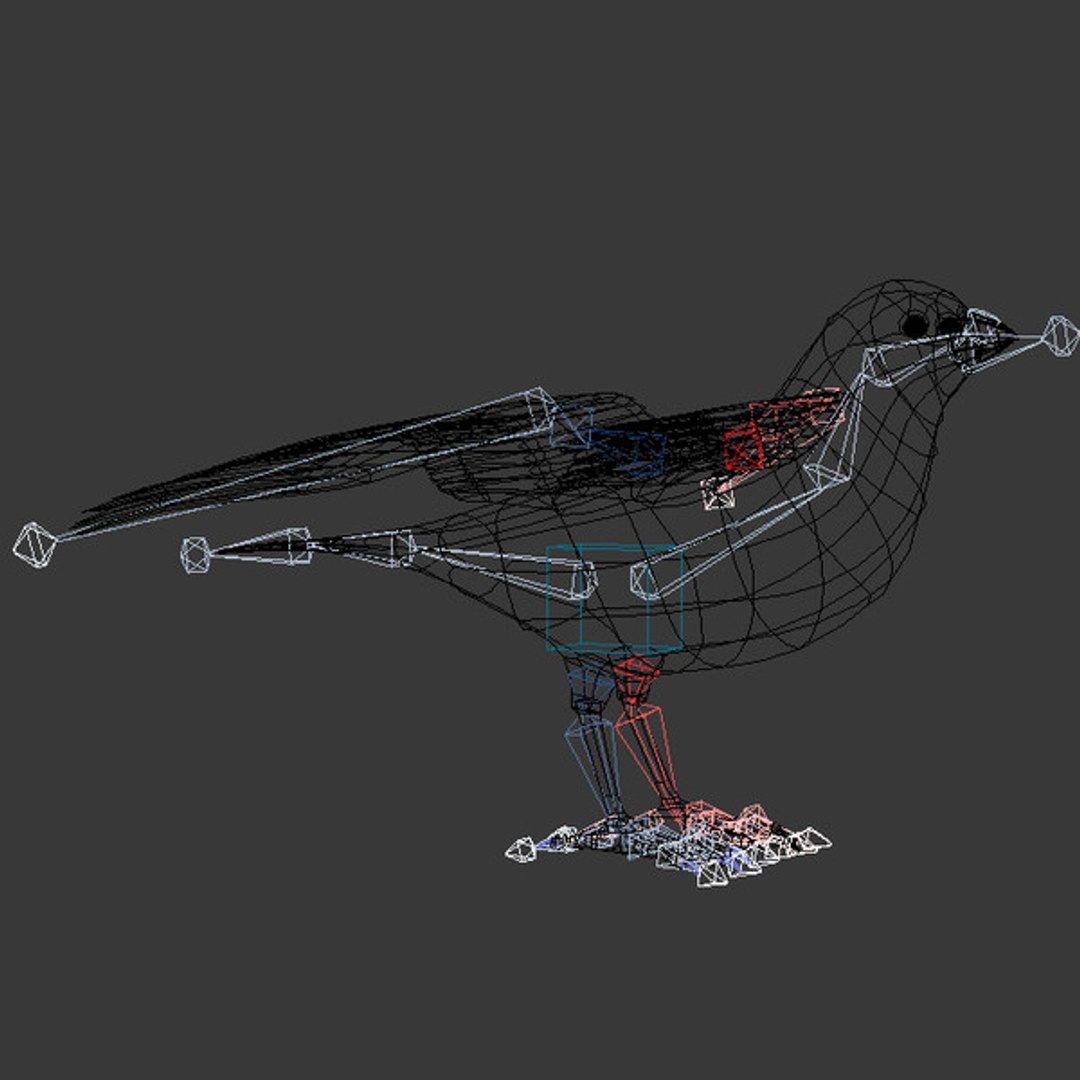 3d model 5 animation https://p.turbosquid.com/ts-thumb/qw/lWORBE/CMJmhohq/th04.jpg5e4b055fc9e4463ab93ab0341b163955large/jpg/1407095021/1920x1080/fit_q87/17299dcf471b813b8ab6154224cae9886ce9b990/th04.jpg5e4b055fc9e4463ab93ab0341b163955large.jpg