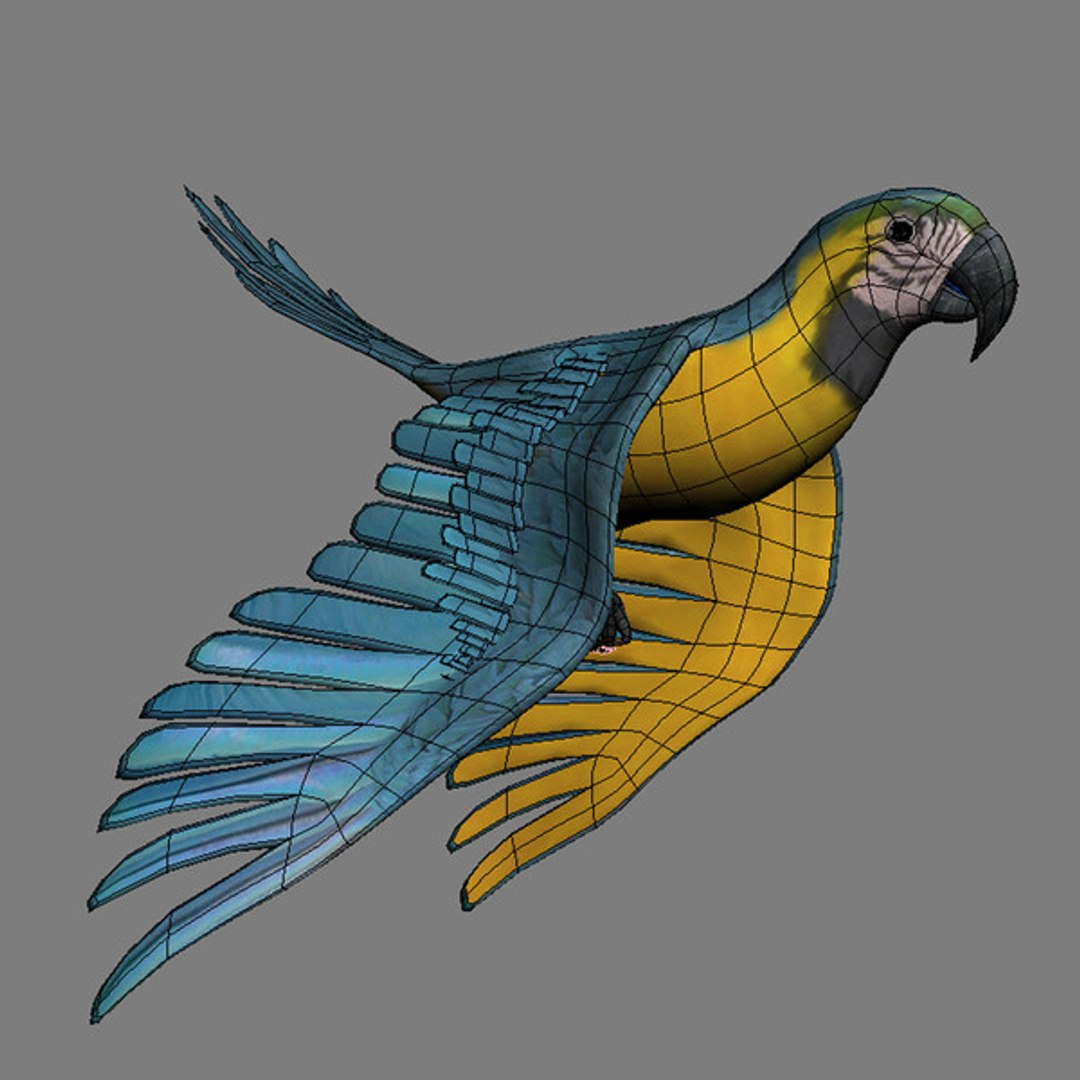 3d model 5 animation https://p.turbosquid.com/ts-thumb/qw/lWORBE/IxqckFh2/th16.jpg42c9b0497ba342d9ac3ff4efe32dd397large/jpg/1407095022/1920x1080/fit_q87/596b814e81260bc85c983f62f5699e10f2795682/th16.jpg42c9b0497ba342d9ac3ff4efe32dd397large.jpg