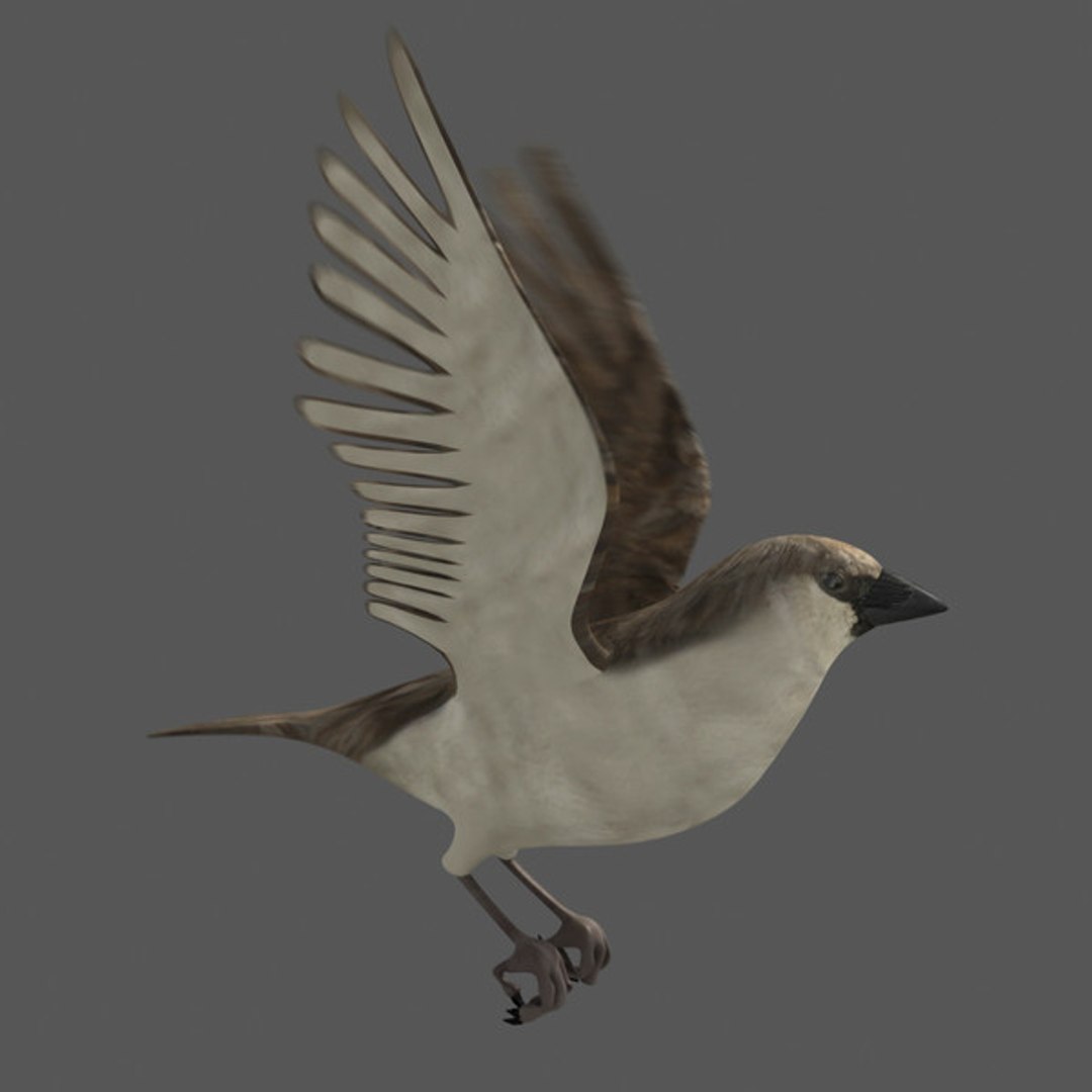 3d model 5 animation https://p.turbosquid.com/ts-thumb/qw/lWORBE/J6nh2dll/render01.jpgaf82d6d5e2a345acb74cd18cbe4c9717large/jpg/1407095021/1920x1080/fit_q87/b44d82f9cfe88e729a07e01125e467b3bd2619a9/render01.jpgaf82d6d5e2a345acb74cd18cbe4c9717large.jpg