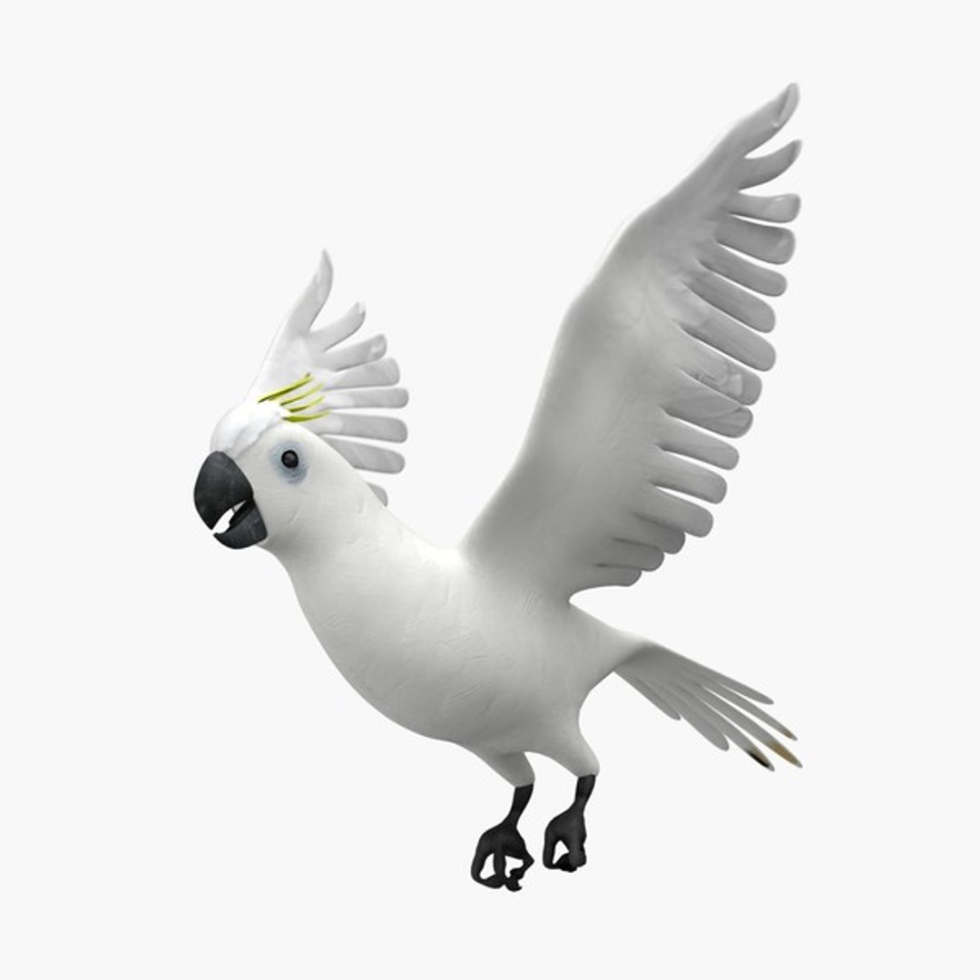 3d model 5 animation https://p.turbosquid.com/ts-thumb/qw/lWORBE/ebMqzBND/cockacmlth04.jpg1f9e543d67fe47ac9a8d39dc185a79e3large/jpg/1407095021/1920x1080/fit_q87/5826abc2d8b19f2ff5bec2cc649e26e987f10b44/cockacmlth04.jpg1f9e543d67fe47ac9a8d39dc185a79e3large.jpg