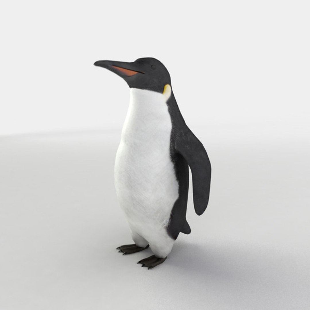 3d model 5 animation https://p.turbosquid.com/ts-thumb/qw/lWORBE/evUfziRg/pth03.jpg.jpgb2f2b642808e4a0dbee7448879d89d07large/jpg/1407095021/1920x1080/fit_q87/d544d7580b27139c9120e0a84086faa4de10e79a/pth03.jpg.jpgb2f2b642808e4a0dbee7448879d89d07large.jpg