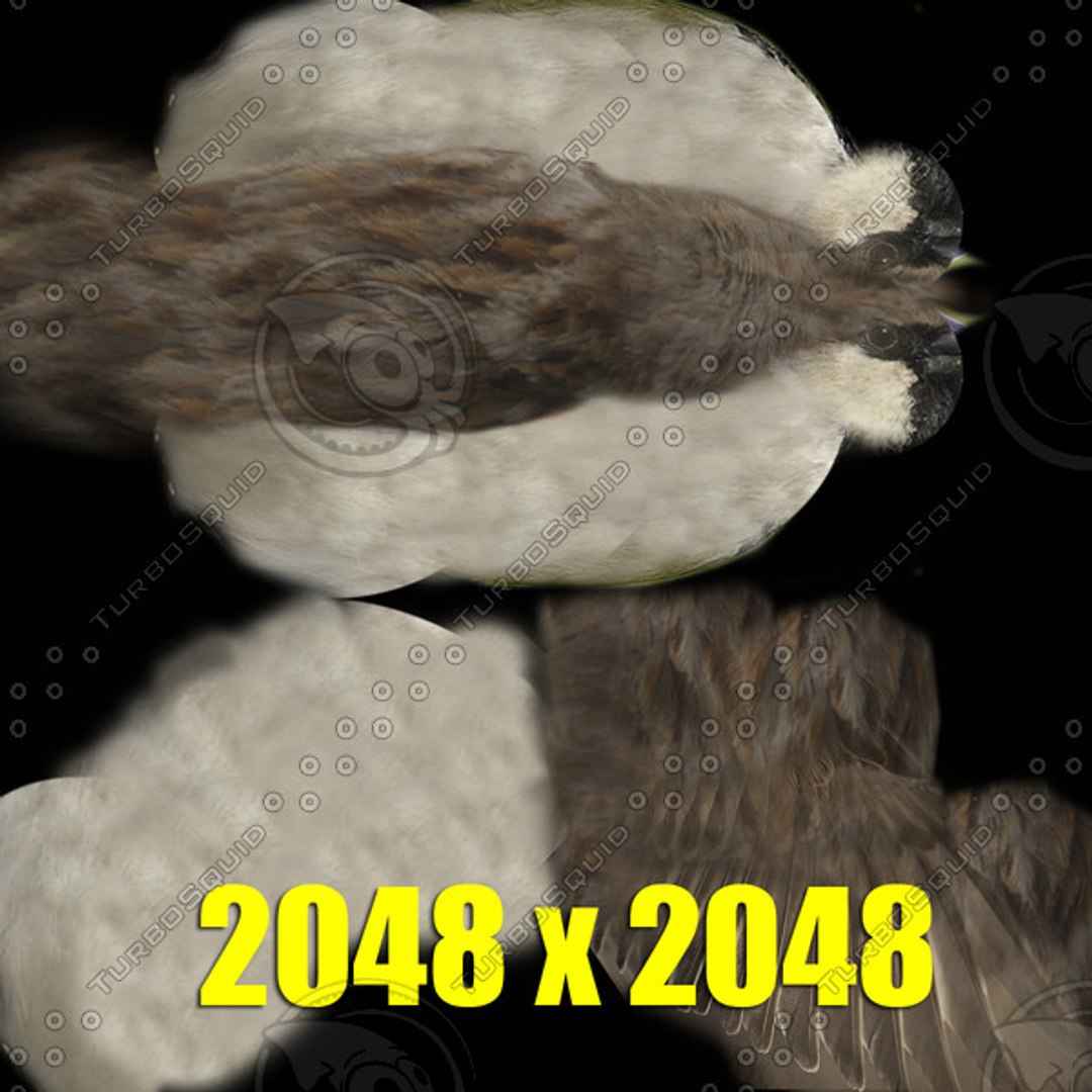 3d model 5 animation https://p.turbosquid.com/ts-thumb/qw/lWORBE/ew1FsGY6/th07.jpg984a25e1045c4bc8ad51e583624955a7large/jpg/1407095022/1920x1080/fit_q87/e70413f0edbb412746f7b801ad47a1a877ab28c2/th07.jpg984a25e1045c4bc8ad51e583624955a7large.jpg
