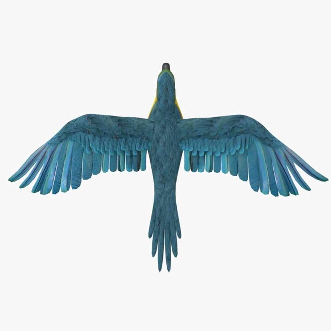 3d model 5 animation https://p.turbosquid.com/ts-thumb/qw/lWORBE/qI9XhKKN/th08.jpgacbe03643c564ed9a88734780b1aa02clarge/jpg/1407095022/1920x1080/fit_q87/2c9ca79068d2386a6171eb272d96a9858c2dafb2/th08.jpgacbe03643c564ed9a88734780b1aa02clarge.jpg