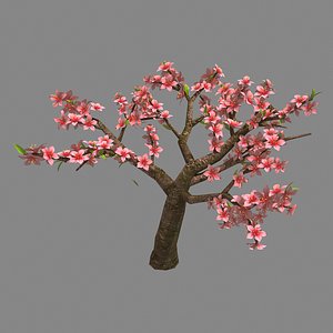 trees - peach 24 3D