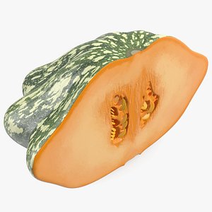 Half of Bush Pumpkin Green 3D model
