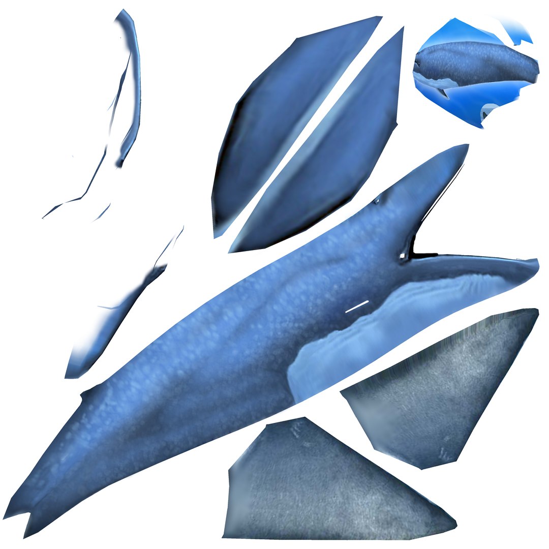 blue whale fbx https://p.turbosquid.com/ts-thumb/qw/uEODdp/f0vk9MkI/whaleuv/png/1455878660/1920x1080/fit_q87/548869c3fc51de380ff04e5b36027c316c9c7bf0/whaleuv.jpg