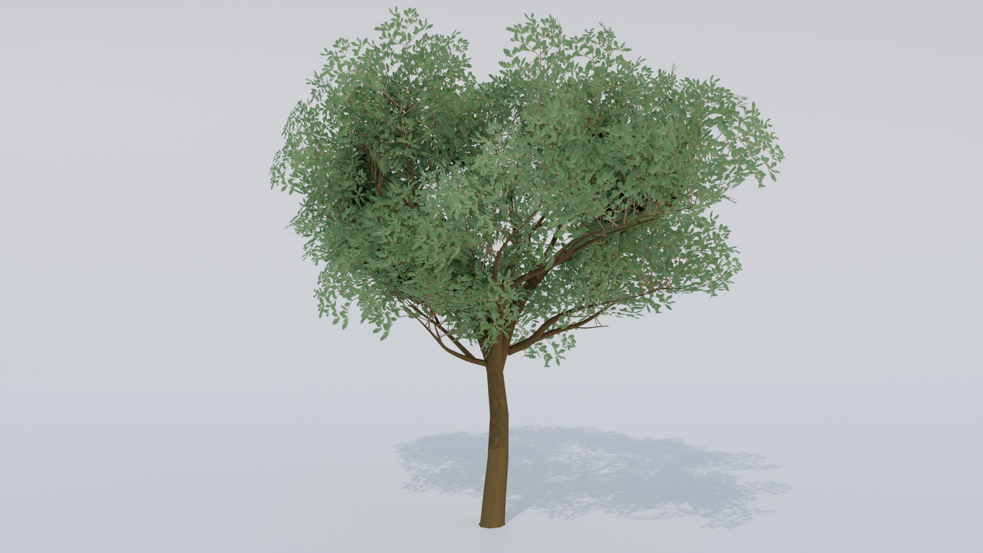 Simple Oak Tree Collection 3D Model - TurboSquid 2152460