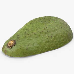 3D Avocado