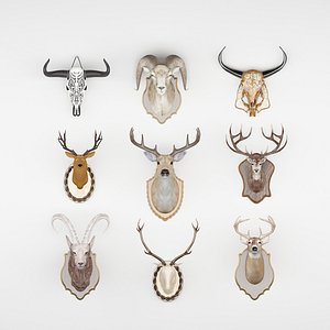 Deer Head Cow Skull and Sheep Head 9-in-1 Set