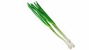 Green Onion
