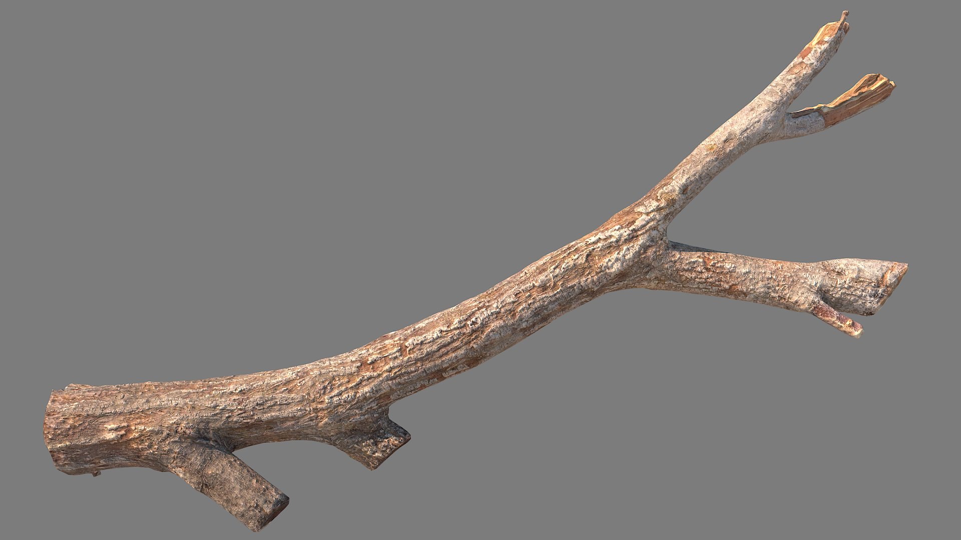 Twig Scanned 30 3D Model - TurboSquid 2088502