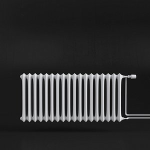 white radiator max