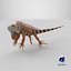 Iguana arancione 8K PBR