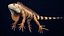 Iguana arancione 8K PBR