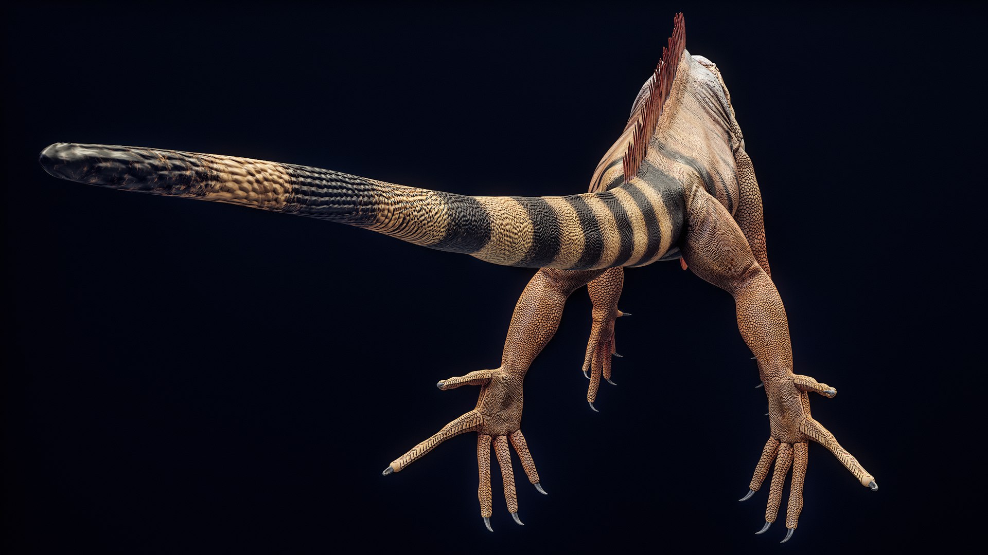 Orange Iguana 8K PBR 3D model https://p.turbosquid.com/ts-thumb/qx/UArN87/D2/r_viewport_018/png/1709747819/1920x1080/fit_q87/dbfca09ea48006000af701d8f6394b4becc8e7e1/r_viewport_018.jpg
