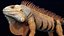 Iguana arancione 8K PBR