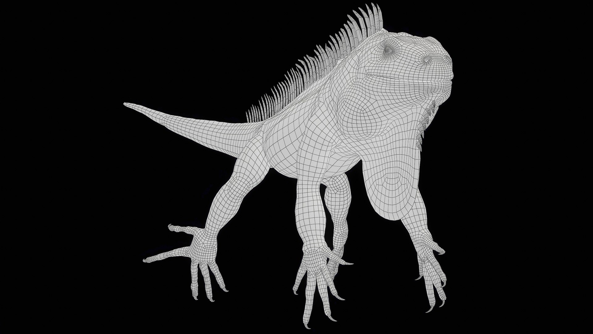 Orange Iguana 8K PBR 3D model https://p.turbosquid.com/ts-thumb/qx/UArN87/SL/r_wire_viewport_002/png/1709748413/1920x1080/fit_q87/e1e2d17dc4e071836b1c1b682db0f19659c0f30c/r_wire_viewport_002.jpg