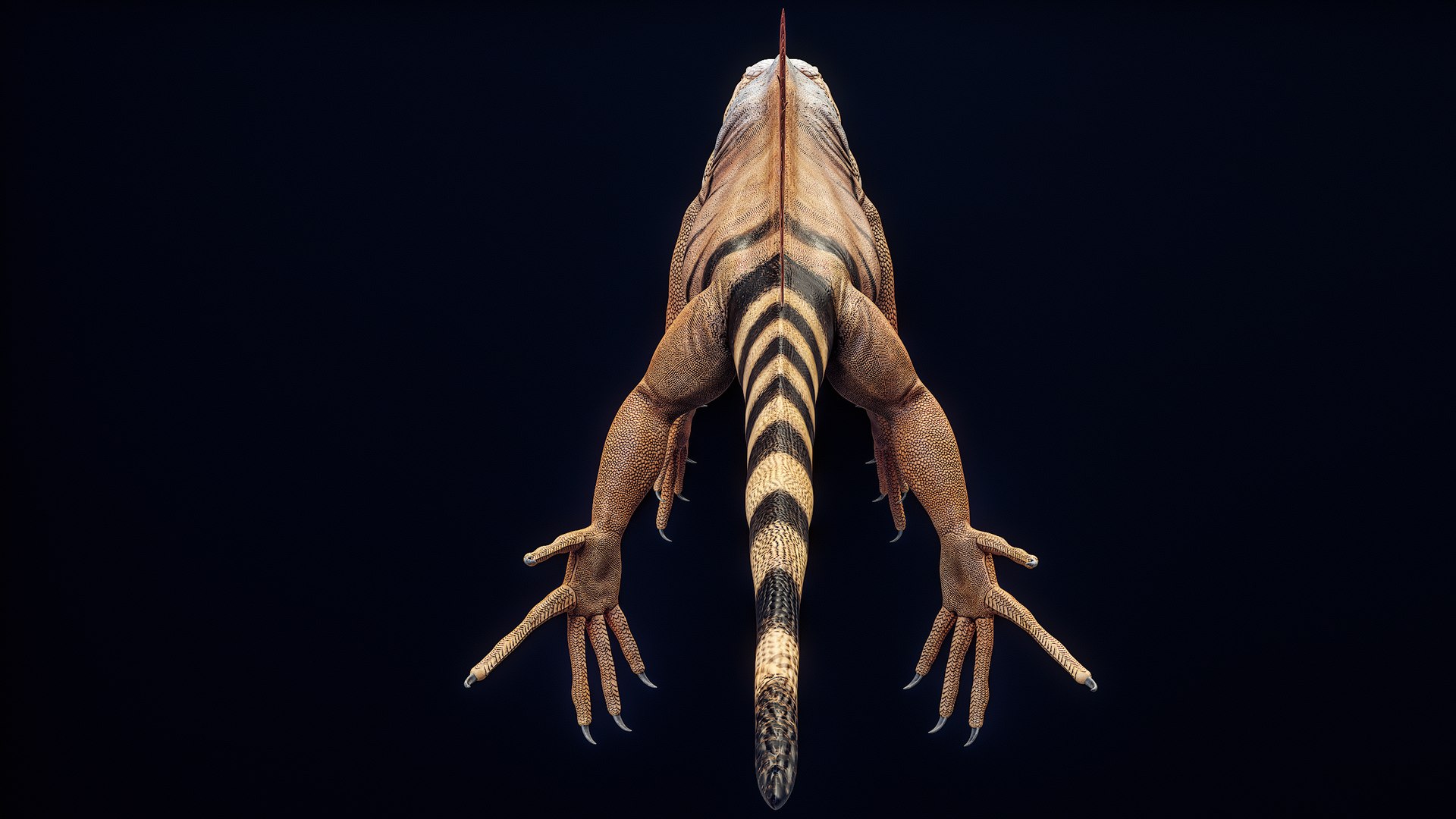 Orange Iguana 8K PBR 3D model https://p.turbosquid.com/ts-thumb/qx/UArN87/U2/r_viewport_019/png/1709747820/1920x1080/fit_q87/f22a9316e991fca4c874dbab5c57f4eaf3e14d95/r_viewport_019.jpg