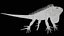 Iguana arancione 8K PBR
