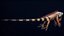 Iguana arancione 8K PBR