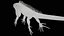 Iguana arancione 8K PBR