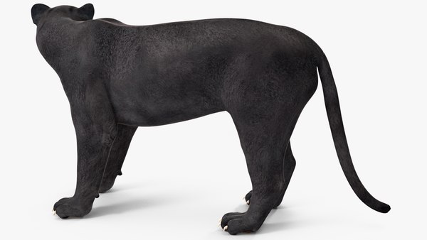 modelo 3d Postura de pie de la pantera negra - TurboSquid 2217138